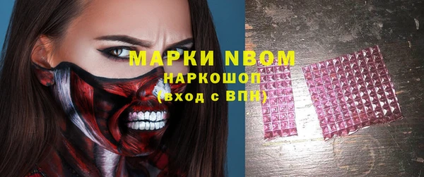 стаф Абинск