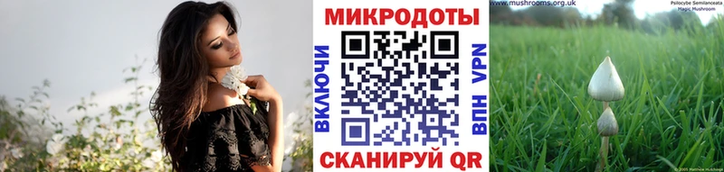 Галлюциногенные грибы мухоморы  нарко площадка какой сайт  Циолковский 